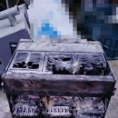 선지농장 이미지