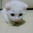 모모9