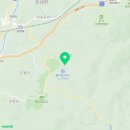 웰리힐리 스키장 이미지