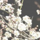 호수환경(주) 이미지