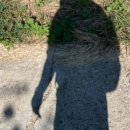 무안국제호텔 이미지