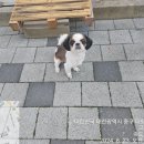 권이용원 티스토리