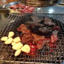 와룡목장 이미지