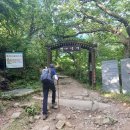 지리산장당골들머리펜션 | (원거리 산행) 지리산 3 백무동~연화선경