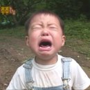 러브PC | 부천 도브러브쿠키 샌드베이글 쿠키 솔직 후기