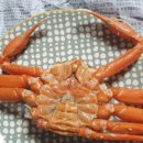 화신홍게수산