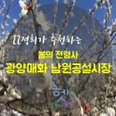 매화 공설시장 이미지
