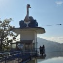 오장밥상 | 웰니스 in 충북 제천치유원데이 청풍유람선 국립제천치유의숲