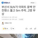 부산서 SUV가 아파트 옹벽 안전펜스 뚫고 5m 추락...2명 부상 이미지