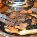 탐라도야지 티스토리