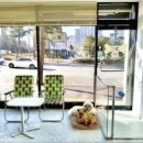 포즈티브 이미지