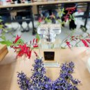 서울장신대학교 자연치유선교대학원 이미지