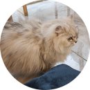 서울시야생동물센터 | [서울] 홍대 동물 카페 &#39;쥬민센터(ZOO민센터)&#39; 후기