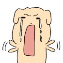 미래에스테틱 이미지