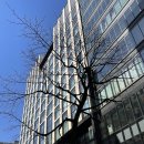 청명 141 이미지