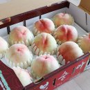 성화농장 이미지