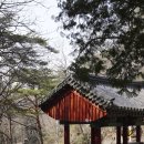 곡성 태안사를 아십니까?