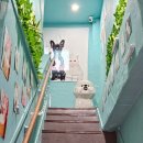 에바 가위컷 전문점 이미지