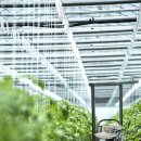 뜬봉샘농장 이미지