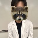 끼리끼리 네이버블로그
