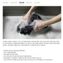 주식회사 그린정보통신 | [의류] 포터리 (POTTERY) 26SS 브러쉬드 코튼 워크 자켓 플럼 리뷰 : 독보적인 컬러감의 워시드 워크 자켓!