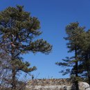 터미널5길 이미지