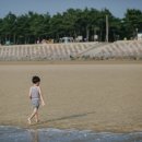 부엉이민박 이미지