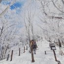 용평면사무소 | 겨울왕국 미리보기! 계방산 눈꽃 산행, 초보자도 정상 찍는 최단 코스 (운두령 주차 꿀팁)