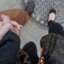 한강기름집 이미지