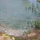 영상테마파크 이미지