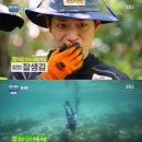 정글스타