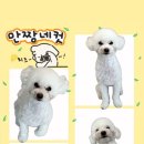 H 동물병원 이미지