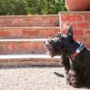 해원 동물병원 이미지