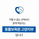동물보육원 김포지부 | 강아지파양 혼자 고민하다 동물보육원 고양지부 상담 받은 후기