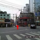 장수갈매기 이미지