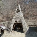 전라북도 산림박물관 이미지