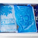 힘짱민물장어 이미지