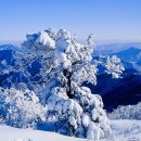 하늘자원 이미지