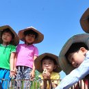 김동훈 농장 이미지