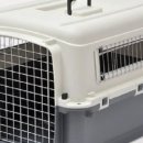 도도 켄넬 이미지