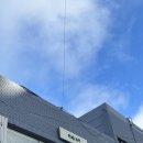 [울산 동구] 누트(Nut) ; 전하동 애견동반 가능한 베이커리 카페_내돈내산