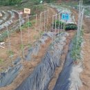 세희농장 이미지