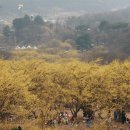 도립리 육괴정 이미지