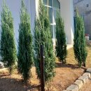 고고링 키즈풀빌라 이미지