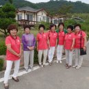 녹색농심인삼마을 이미지