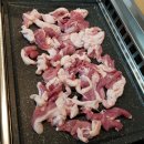 황금오리셋 이미지