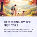 스마트폰 배움교실A | 아이들과 자연 체험 가능한 국내 여행지 총정리