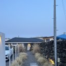 아일안 | 제주동쪽숙소추천 조천 아일안 B동 솔직후기 장단점 완벽 정리