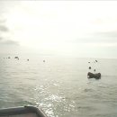 (주)진도그린