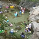 숲속의하얀집 이미지